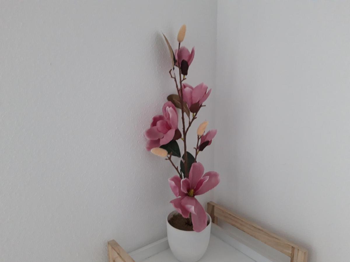 Mediterraneo Lux Appartement Aguadulce  Buitenkant foto